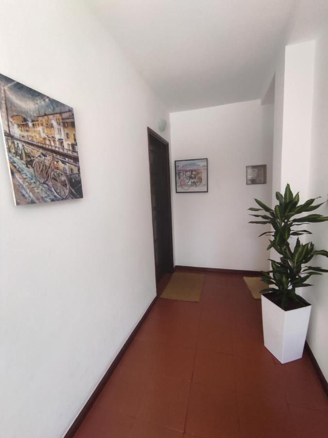 Apartamentos Cimo De Vila Vouzela Zewnętrze zdjęcie